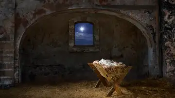 The Meaning of Christ's Life