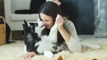 Dogs' Love