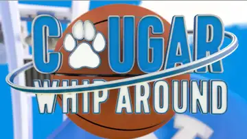 Cougar Whip Around
