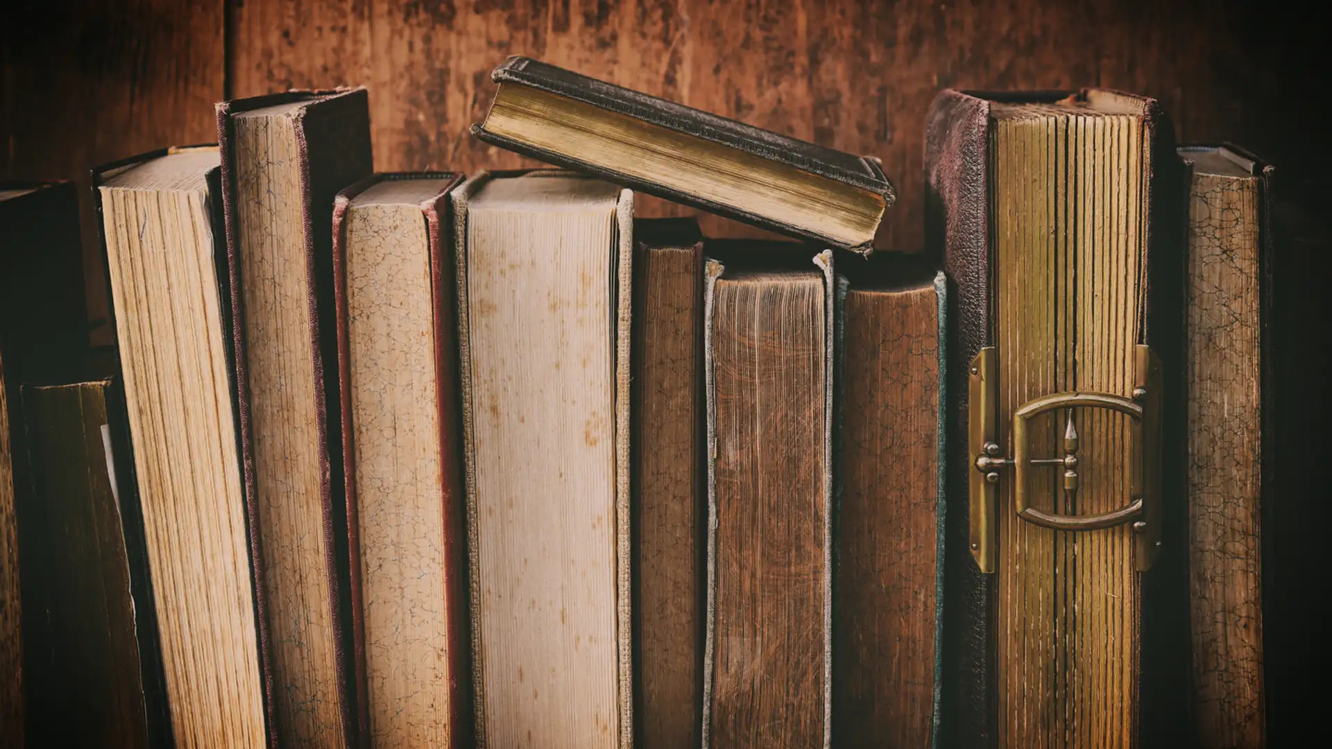 Acrobatic Book Thieves