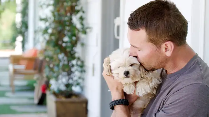 Lucky Dog