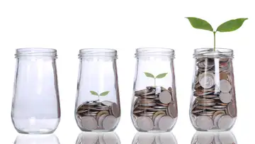 New Year's Savings