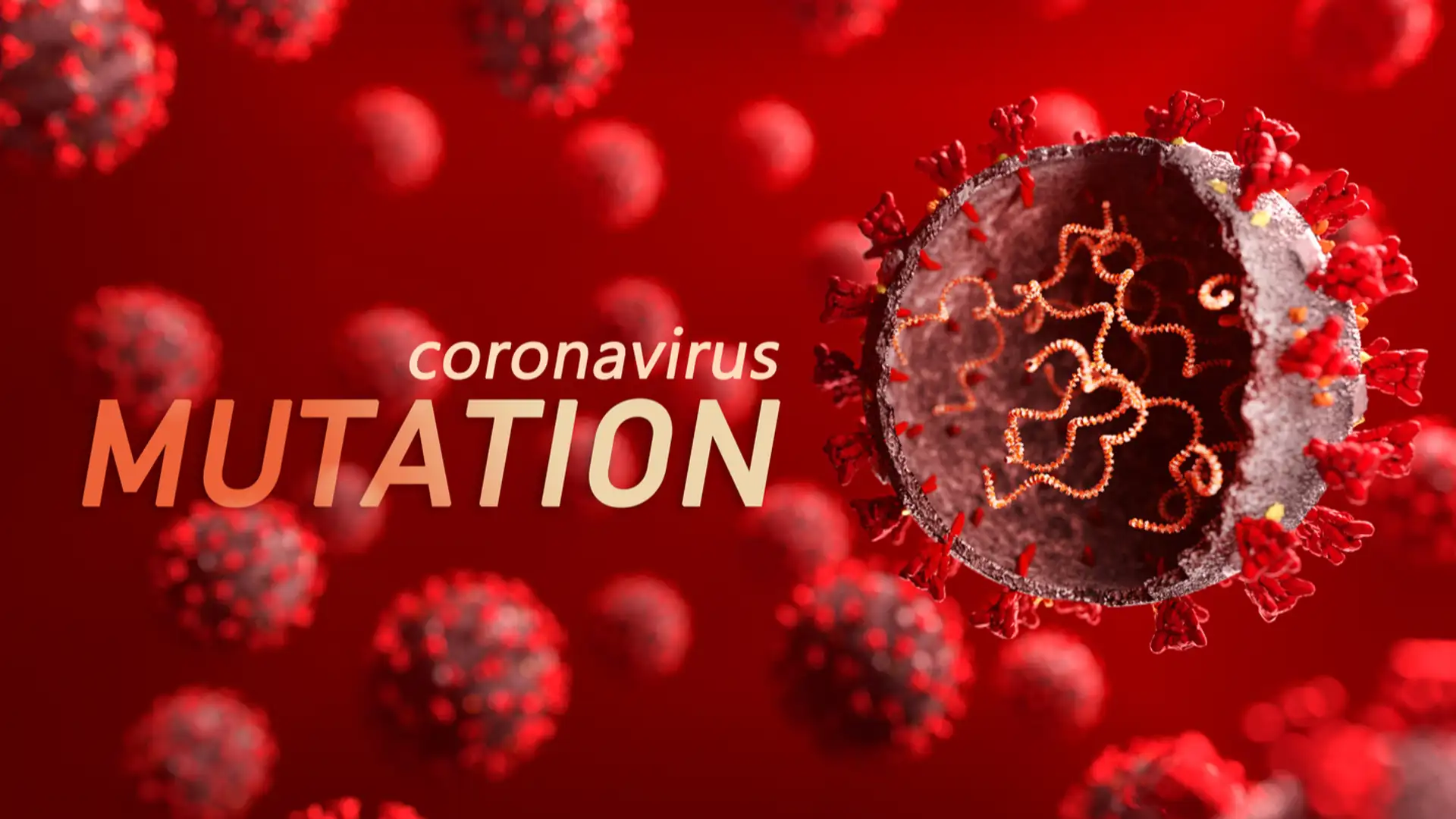 COVID-19 Update, Pandemic Language, SCOTUS Sketches