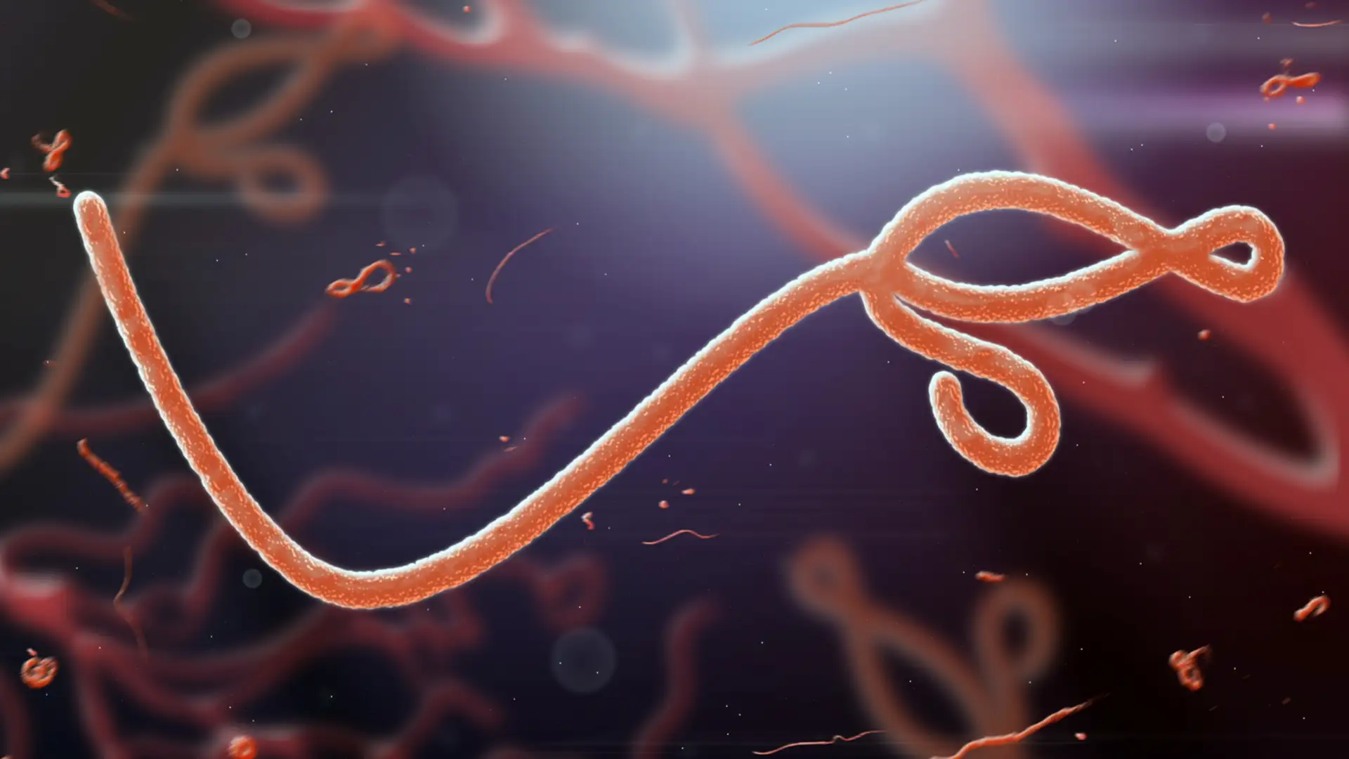 Fighting Ebola on the Frontline