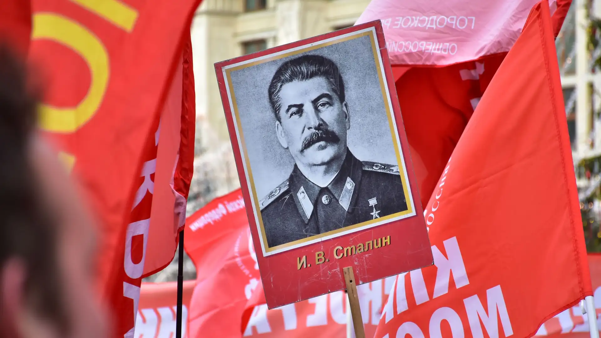 Photo Ark, How to Nap, Dictator Faces