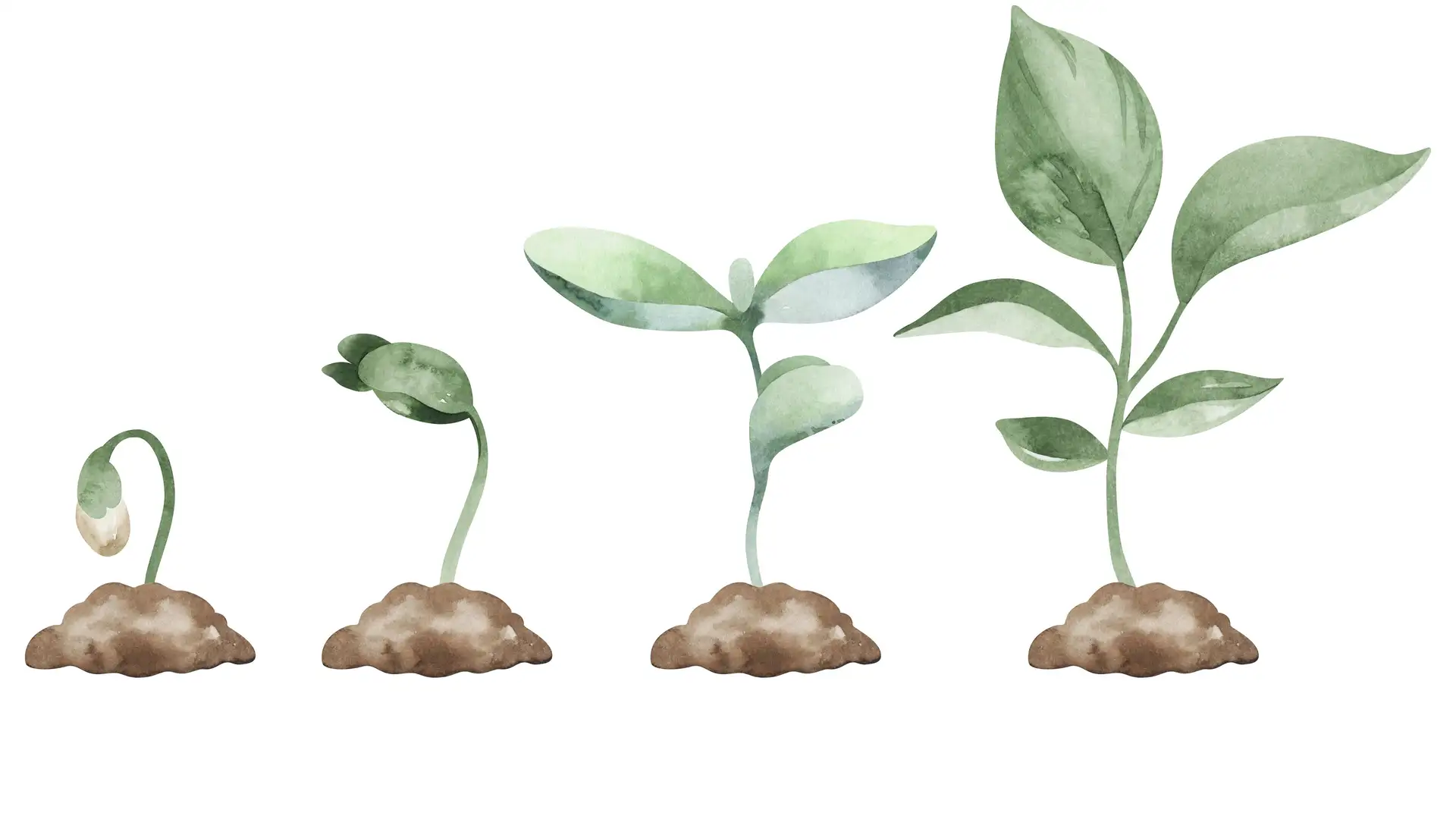 Growth Instead of Comfort