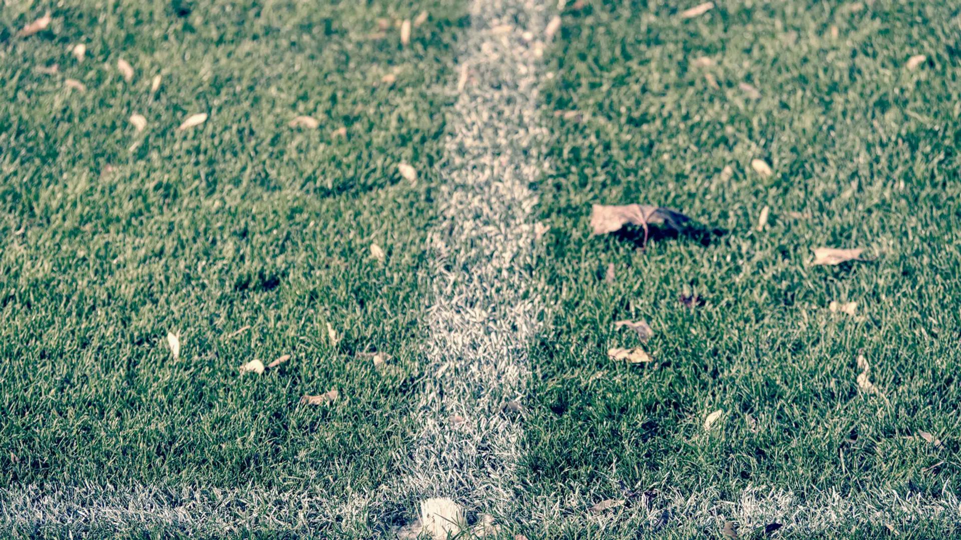 Don't Sleep on Idaho State