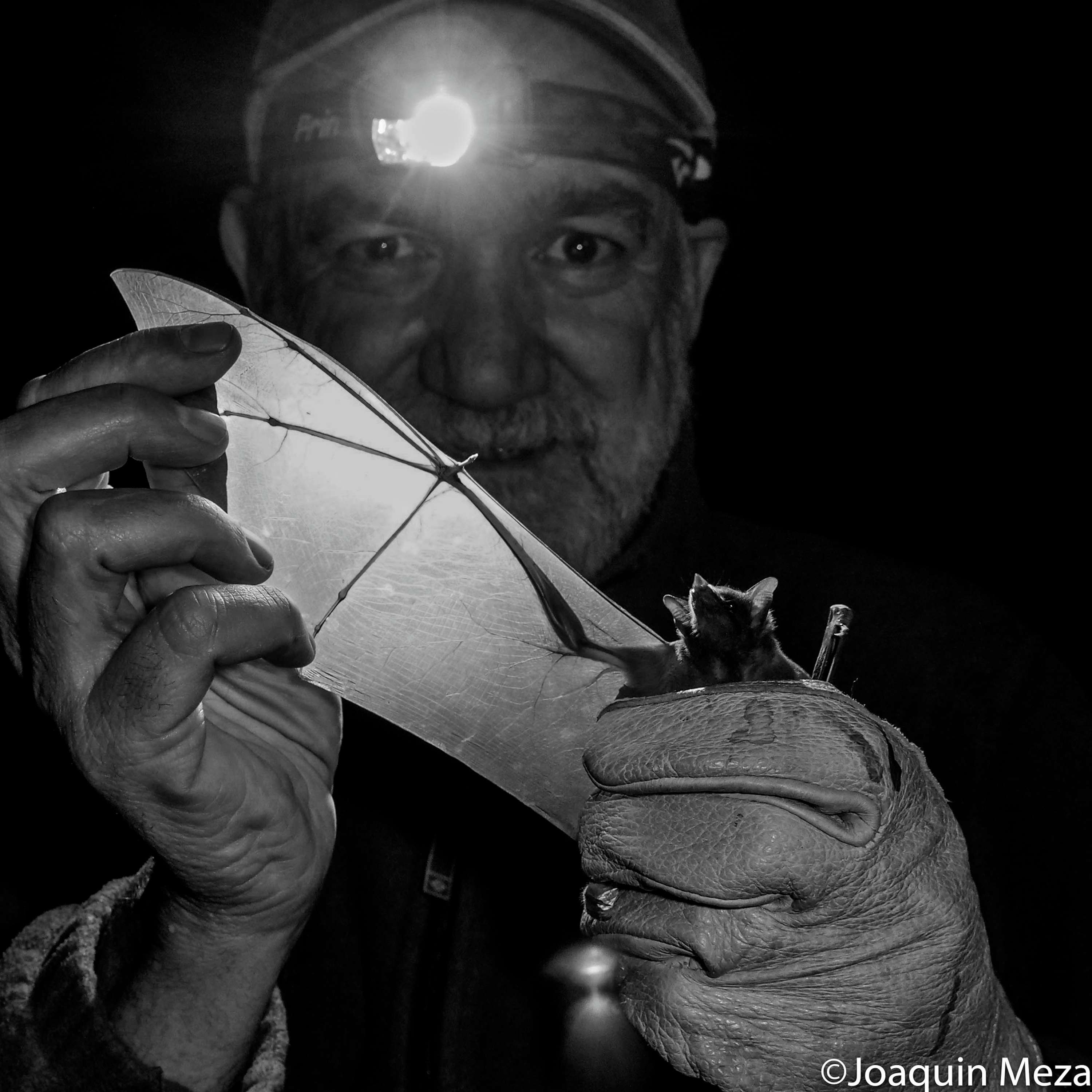 The Batman of Mexico (and the World!)