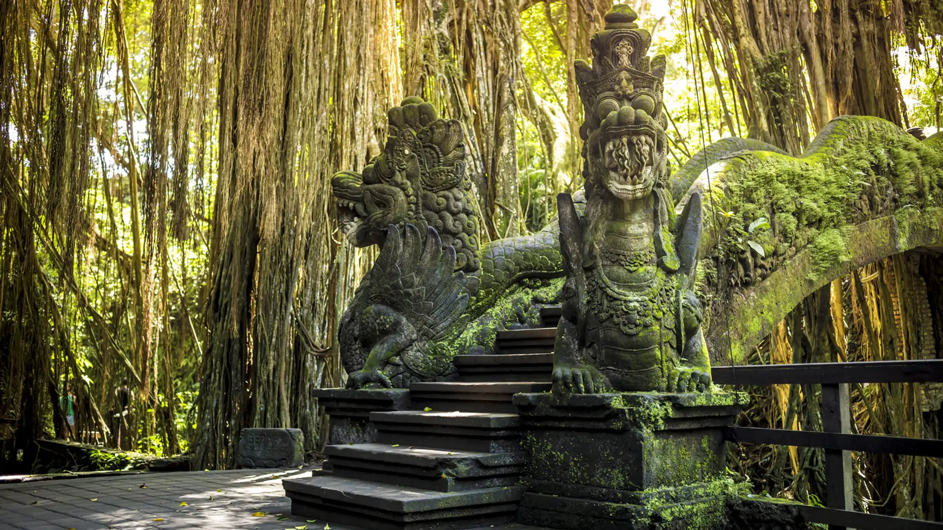 The Dragon and the Monkey's Heart