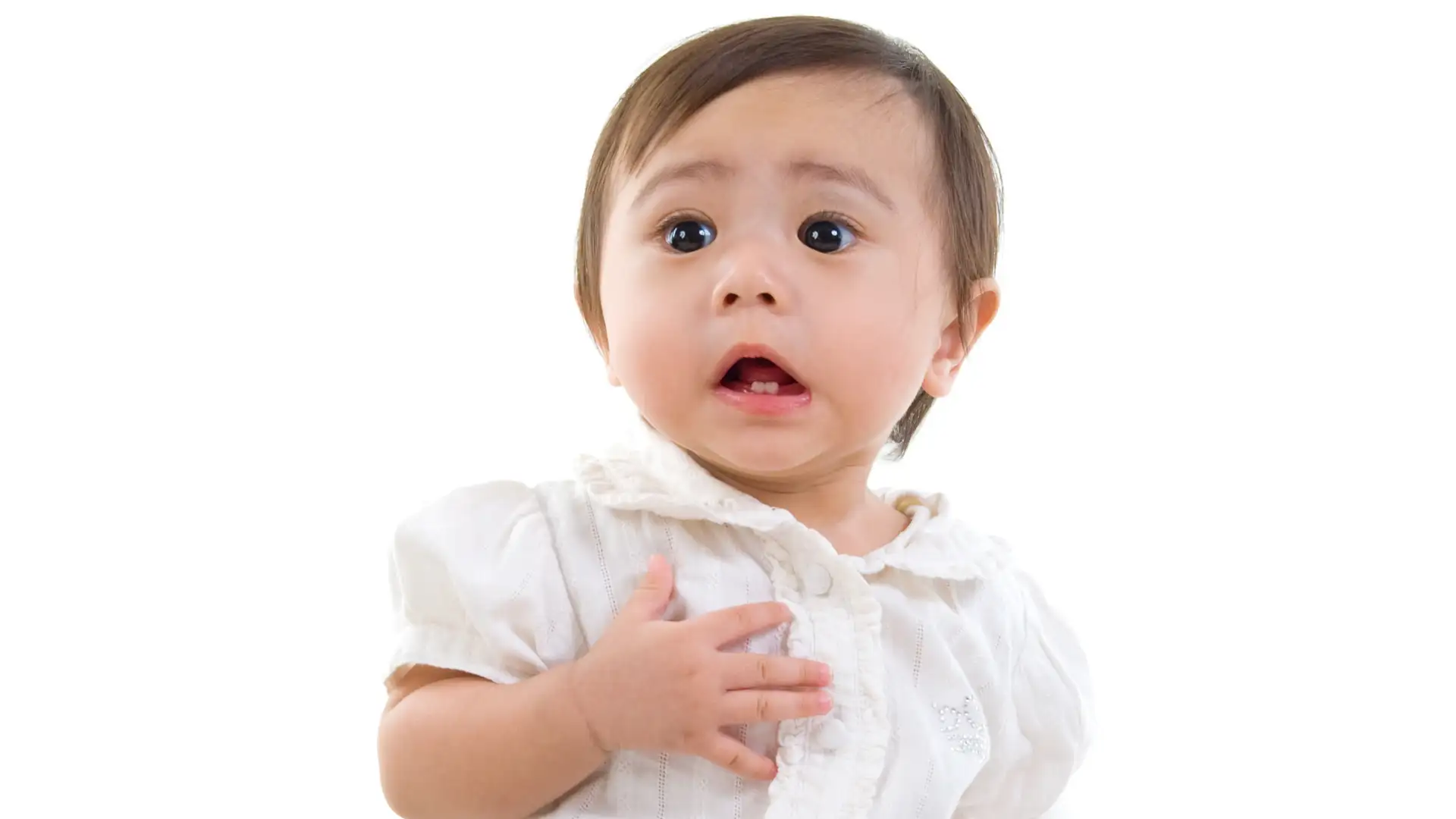 Bacteria Shapes Fear