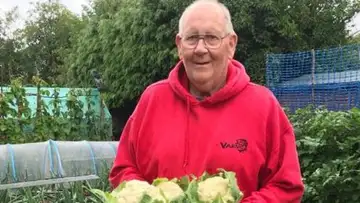 The Vegetable King