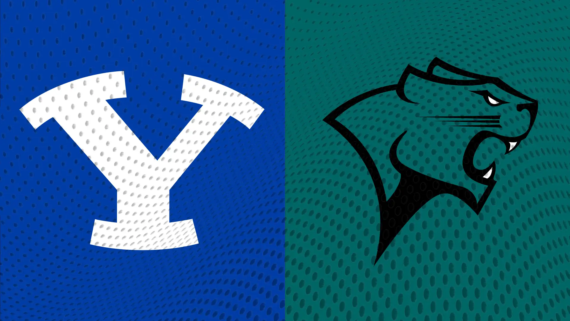 Chicago State vs. BYU (11-20-10)