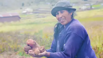 Indigenous American Food Insecurity