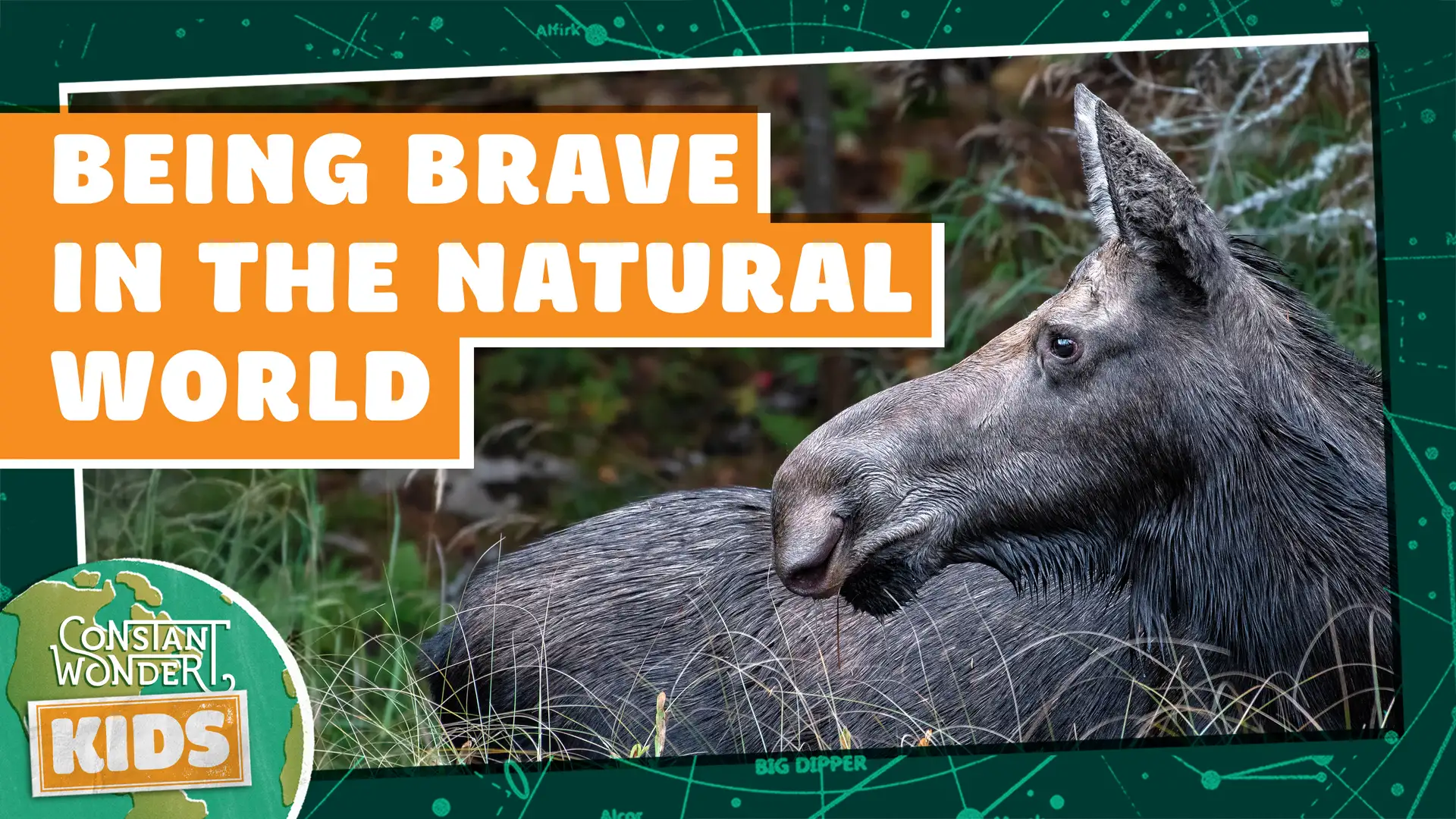 Being Brave in the Natural World