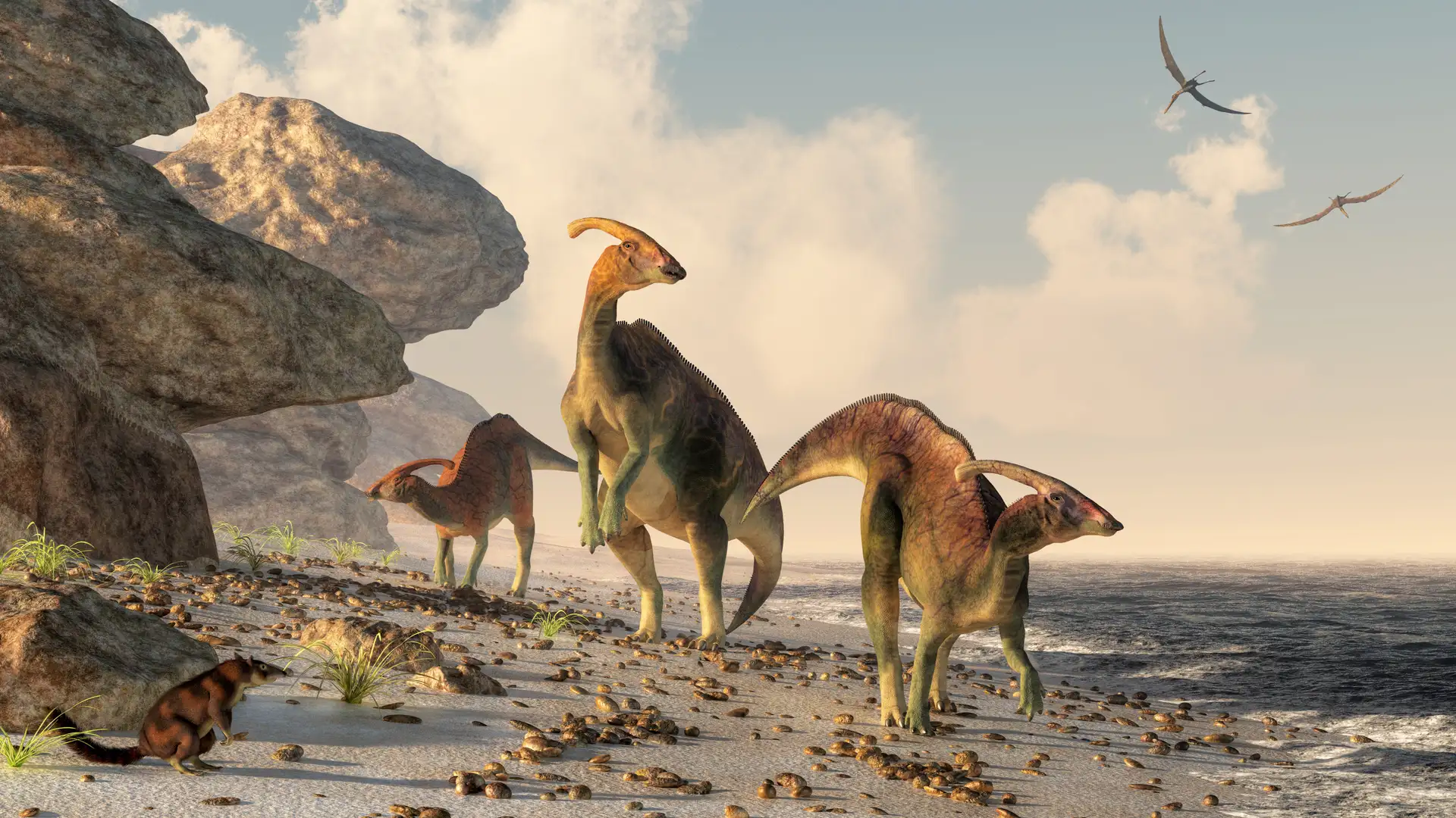 Dino Adventures with Little Proto