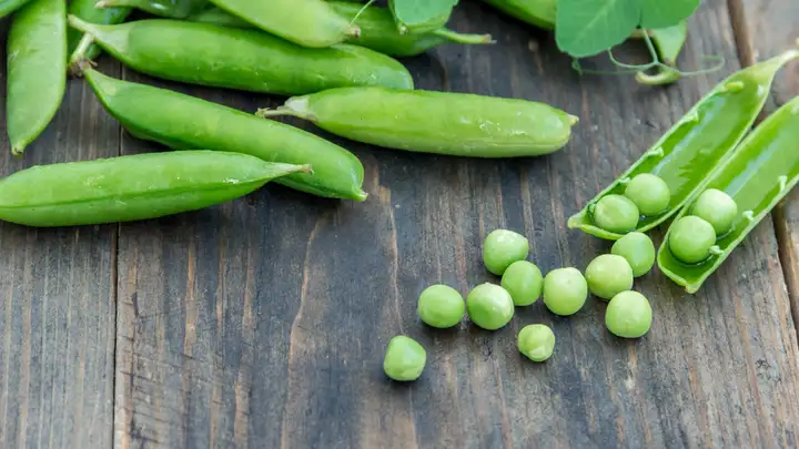 EXTRA: "There's a Pea on my Plate" by Bill Harley