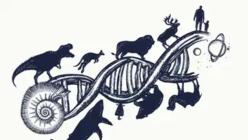 Humans are Altering Life