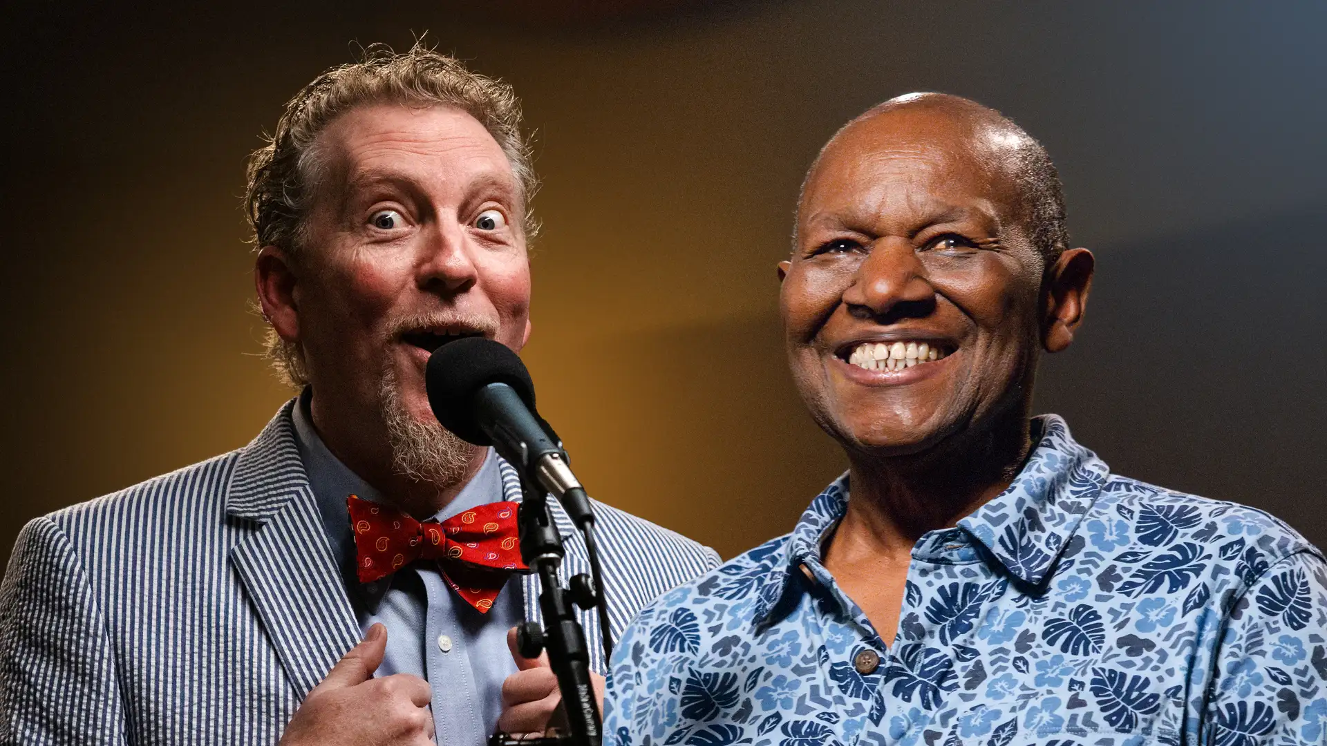 Saving the Day - Stories for the Whole Family by Tim Lowry and Bobby Norfolk