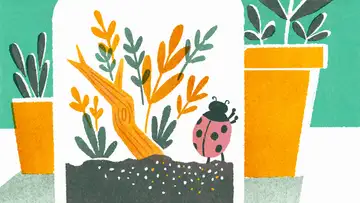 S2 E6: True Bugs (An Escape Adventure)