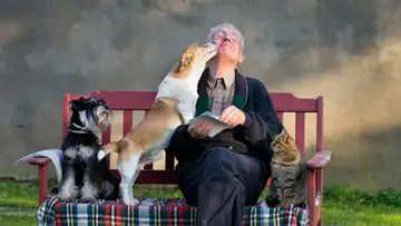 Learning To Be a Better Human By Hanging Out with Animals