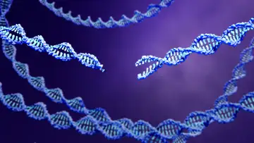 Genetic Scissors