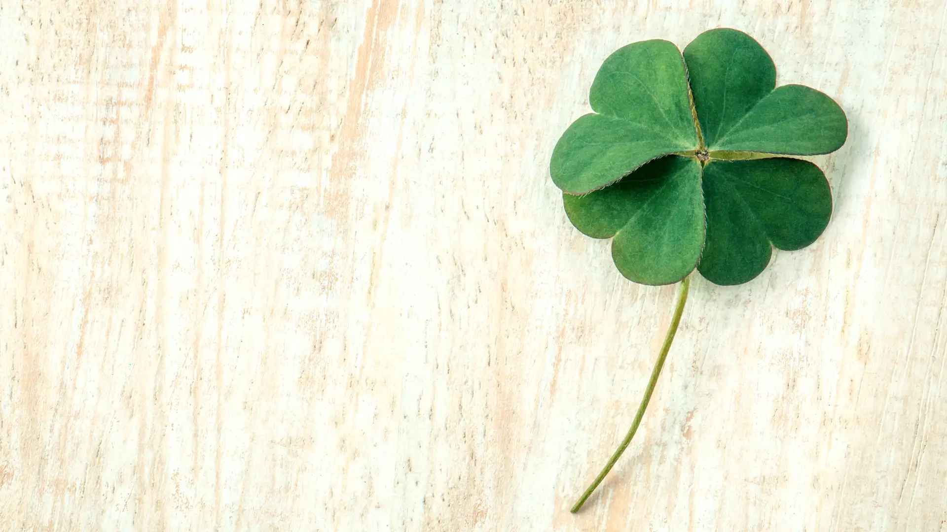 The Real St. Patrick