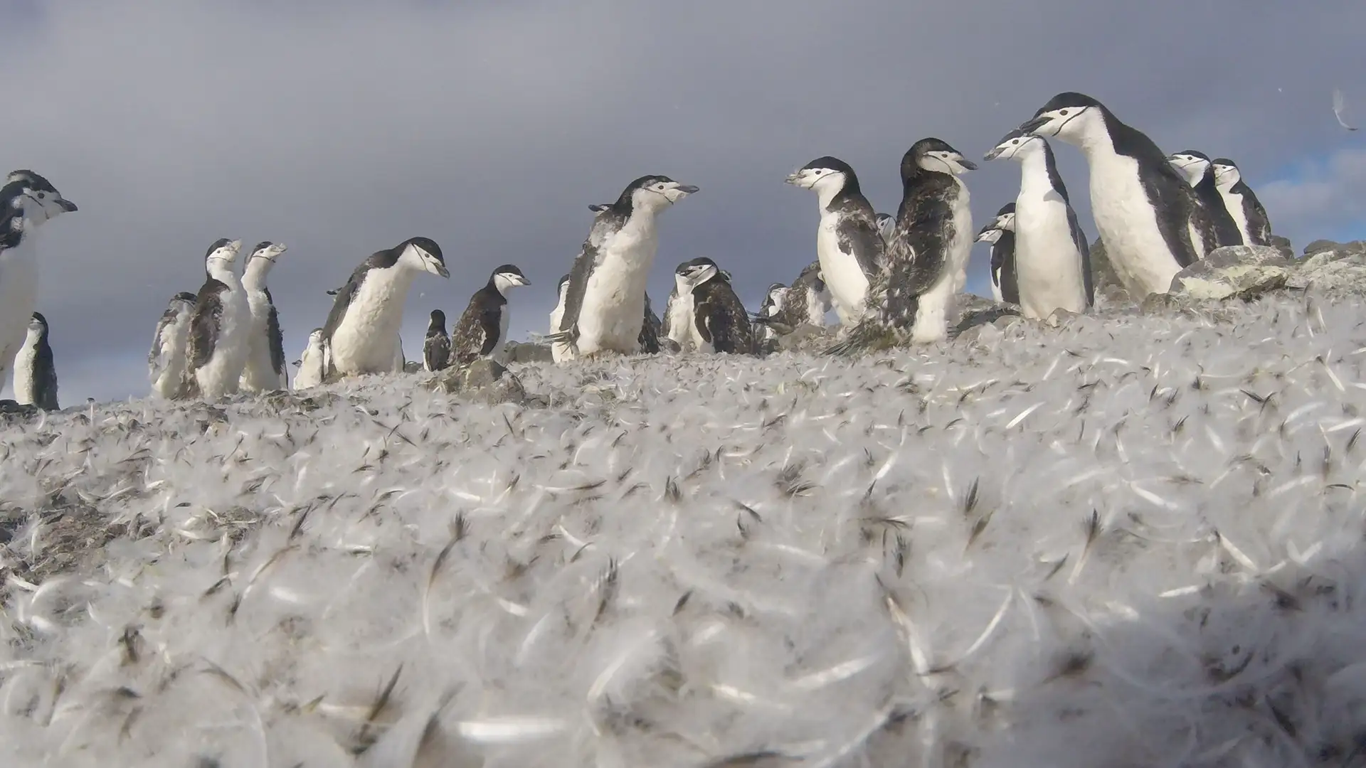 S5 E1: Finding a Personal Place in the Wild World