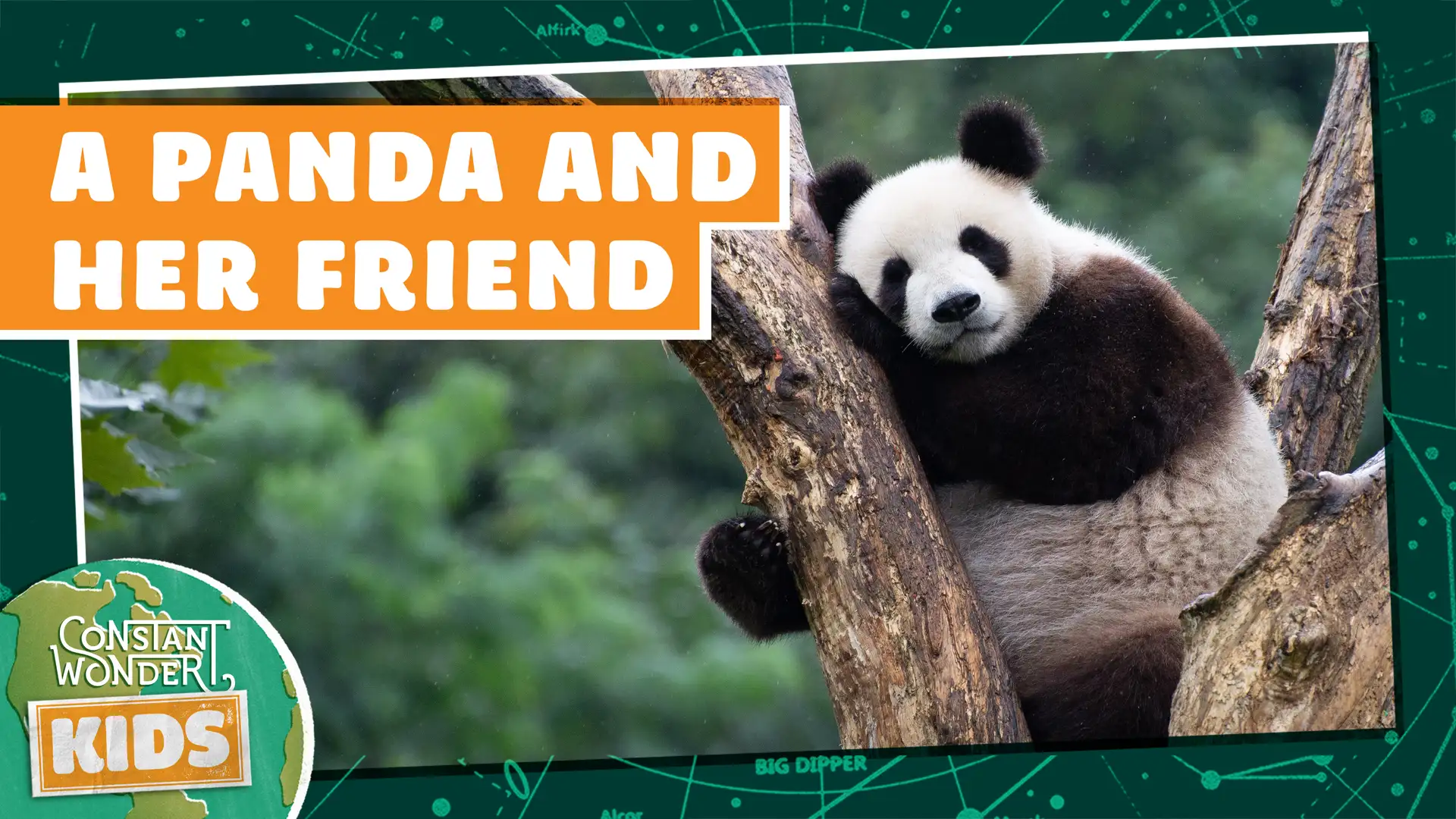 A Panda and Her Friend