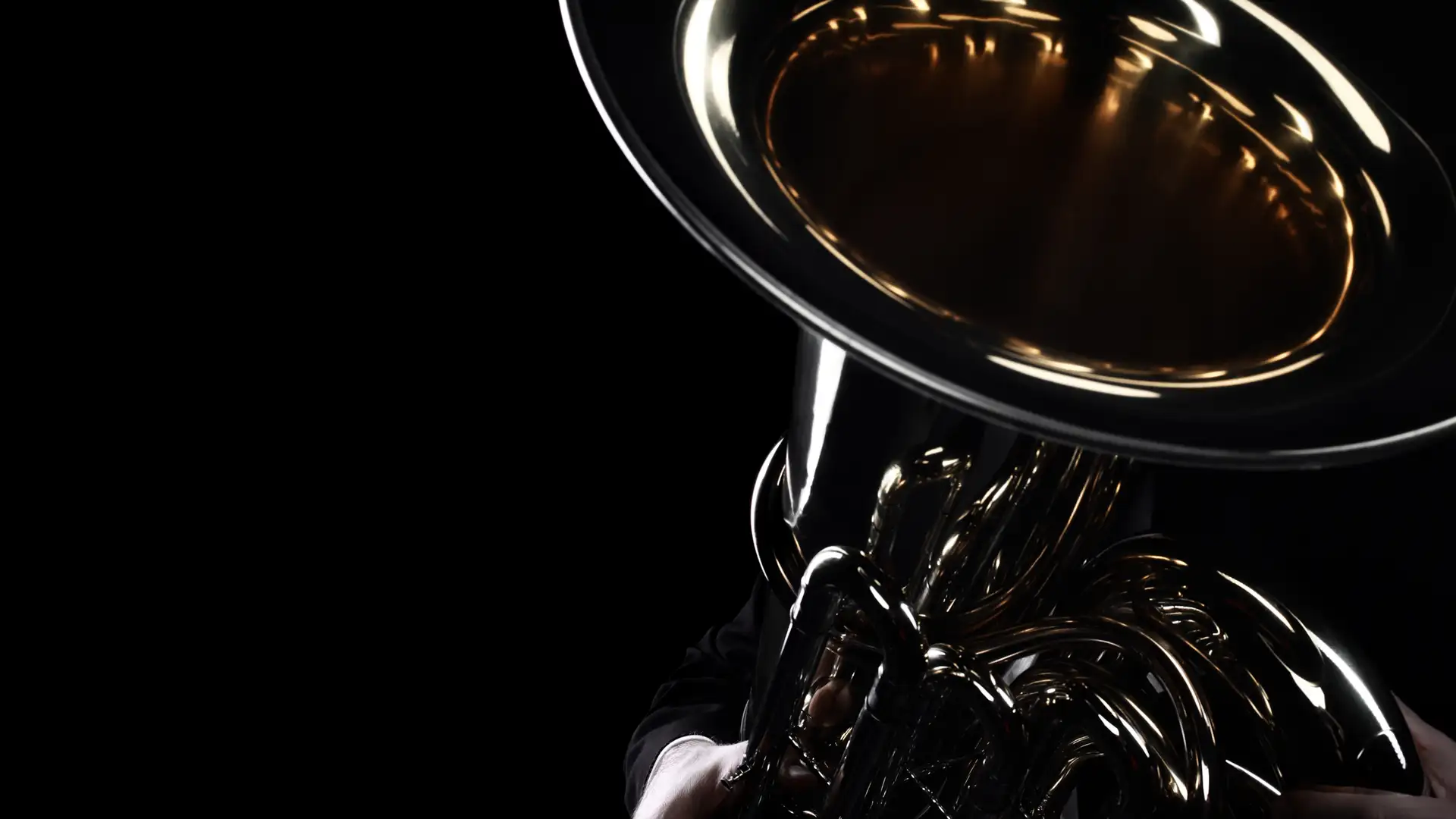 Jazz Trio: Bob Bailey, Steve Call and Dan Barrett