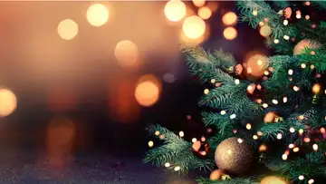 Gratitude, Grace, and Christmas!