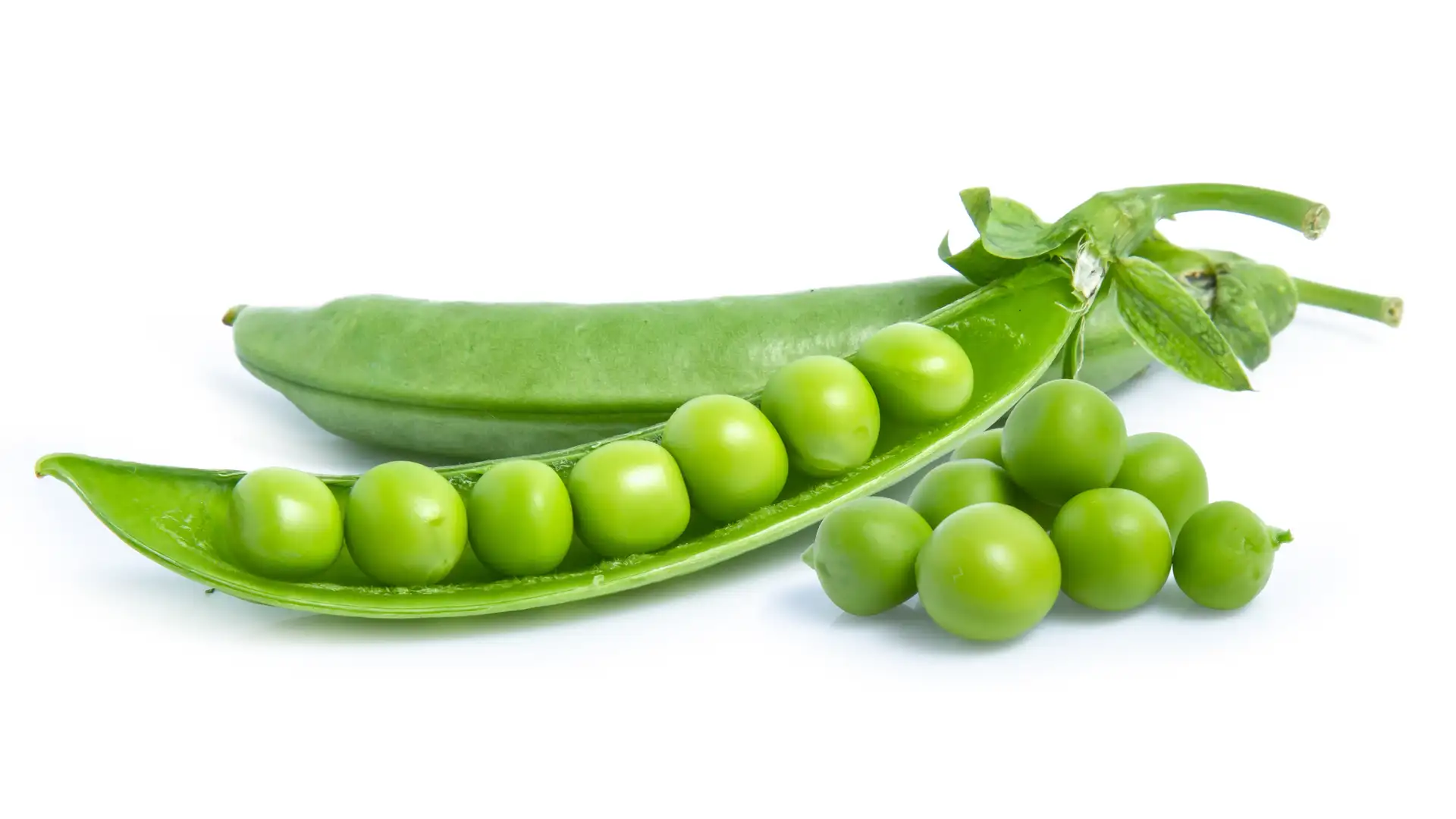 BITE: "Two Peas in a Pod" by The Storycrafters