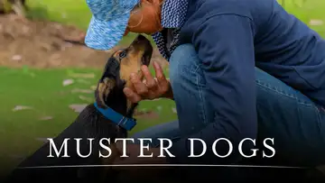 Muster Dogs