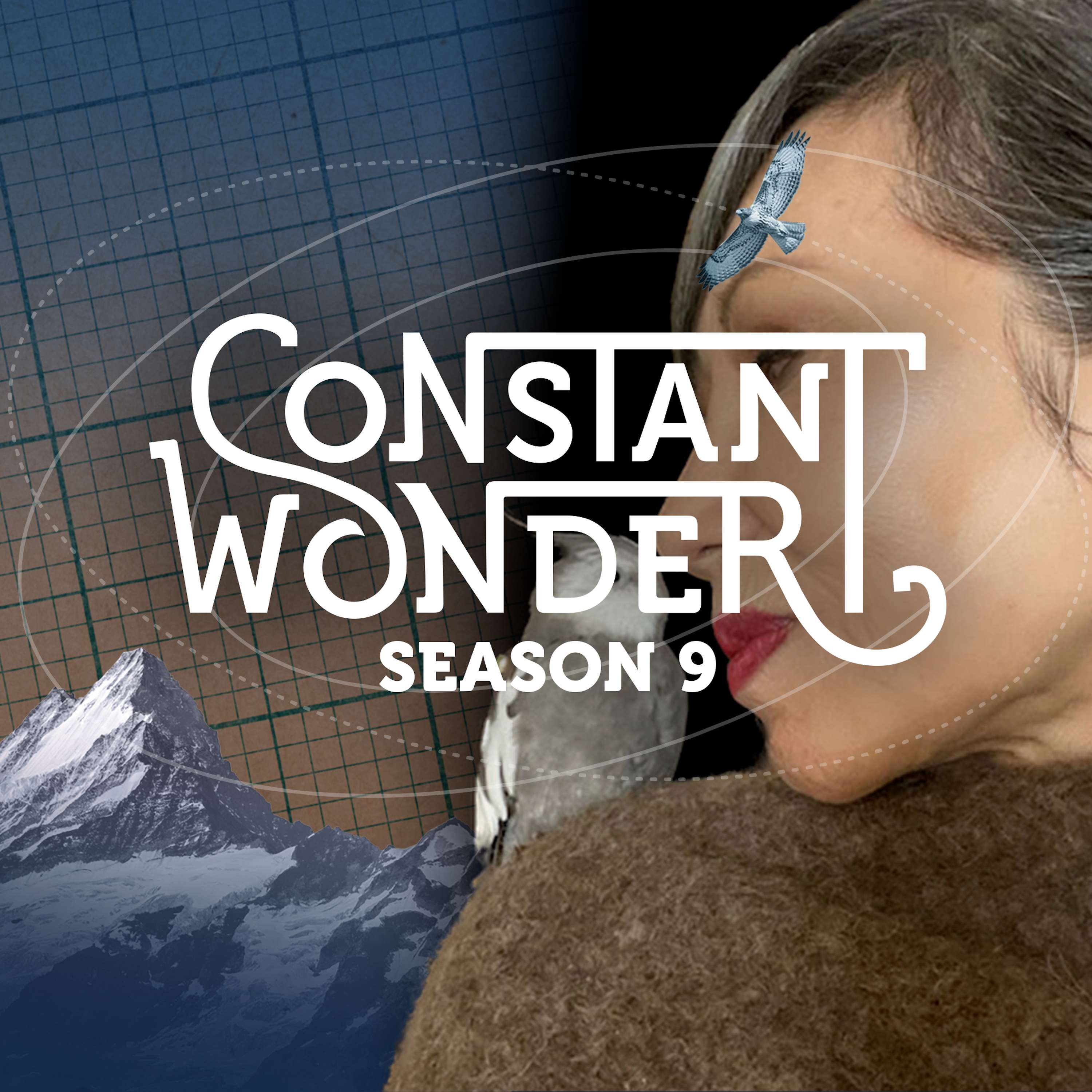 Don't Miss Season 9 of Constant Wonder!