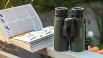 Birdwatching