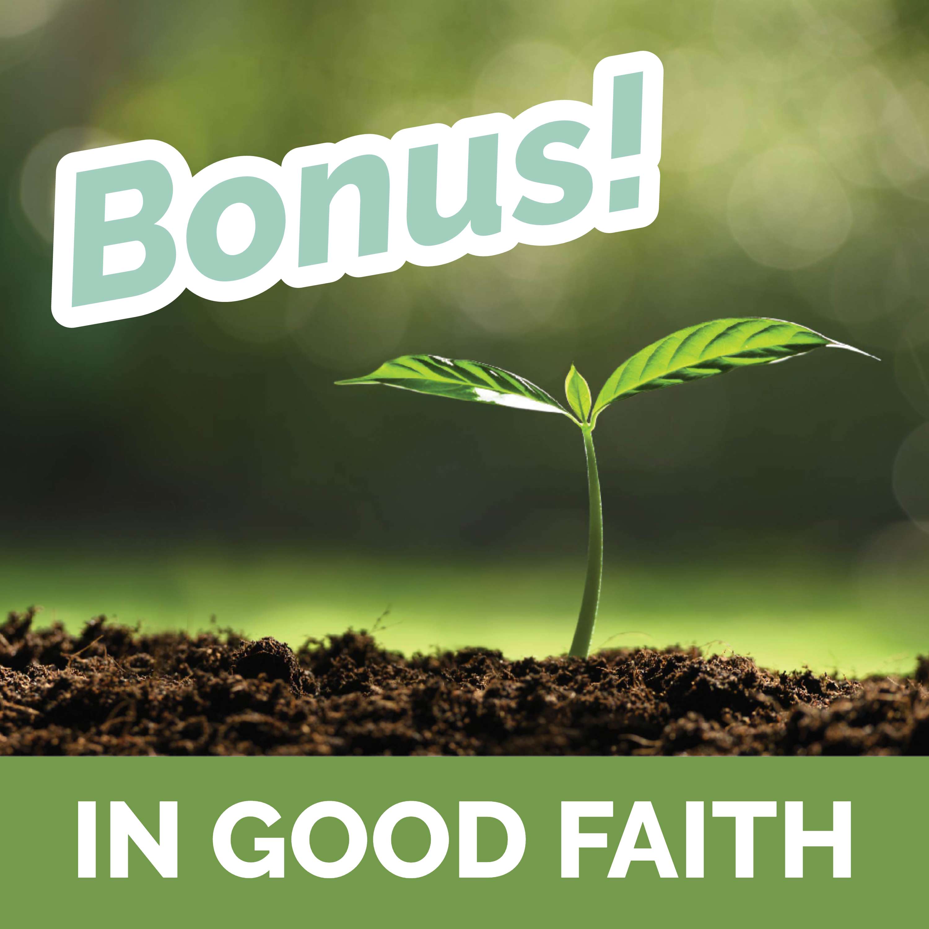 Bonus Episode Louise DuArt & SQuire Rushnell on Godwinks