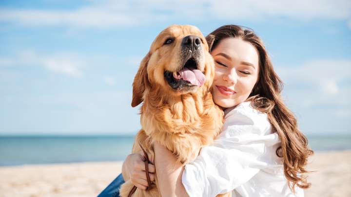 Pet Friendly National Park