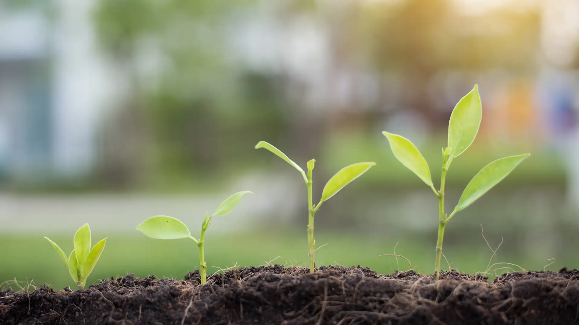 Focusing on Our Individual Efforts to Change