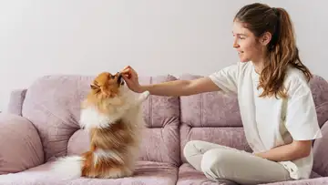 Dog Whisperer