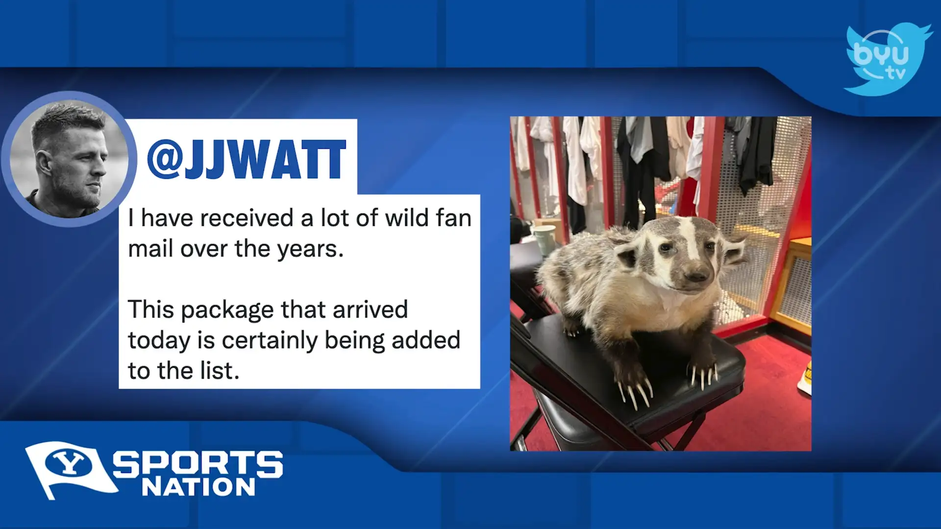 Cougar Whiparound