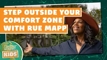 Step Outside Your Comfort Zone with Rue Mapp