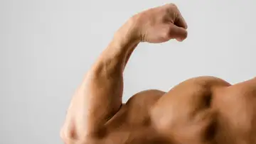 How to Bulk