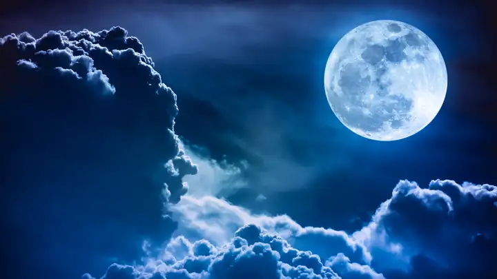 Garment For the Moon