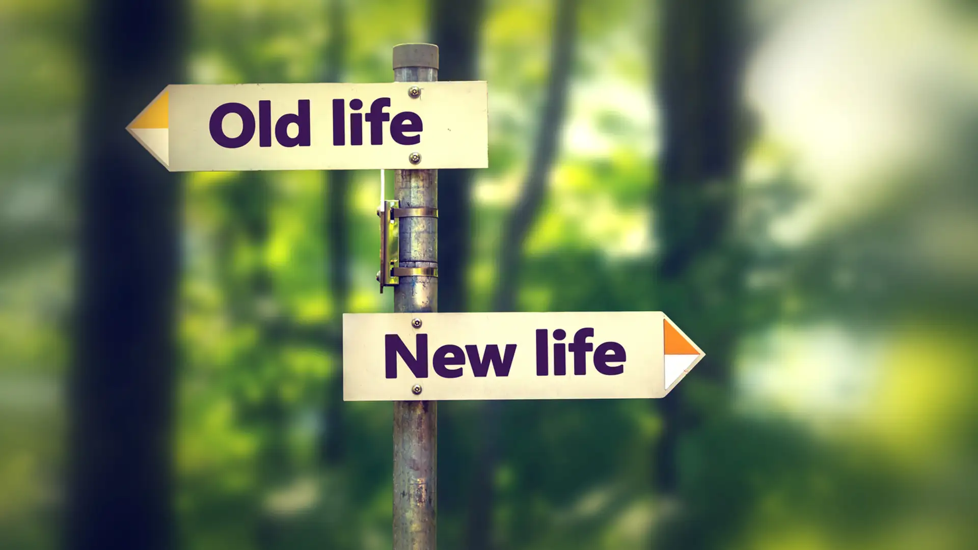 Christ's Cleansing Power