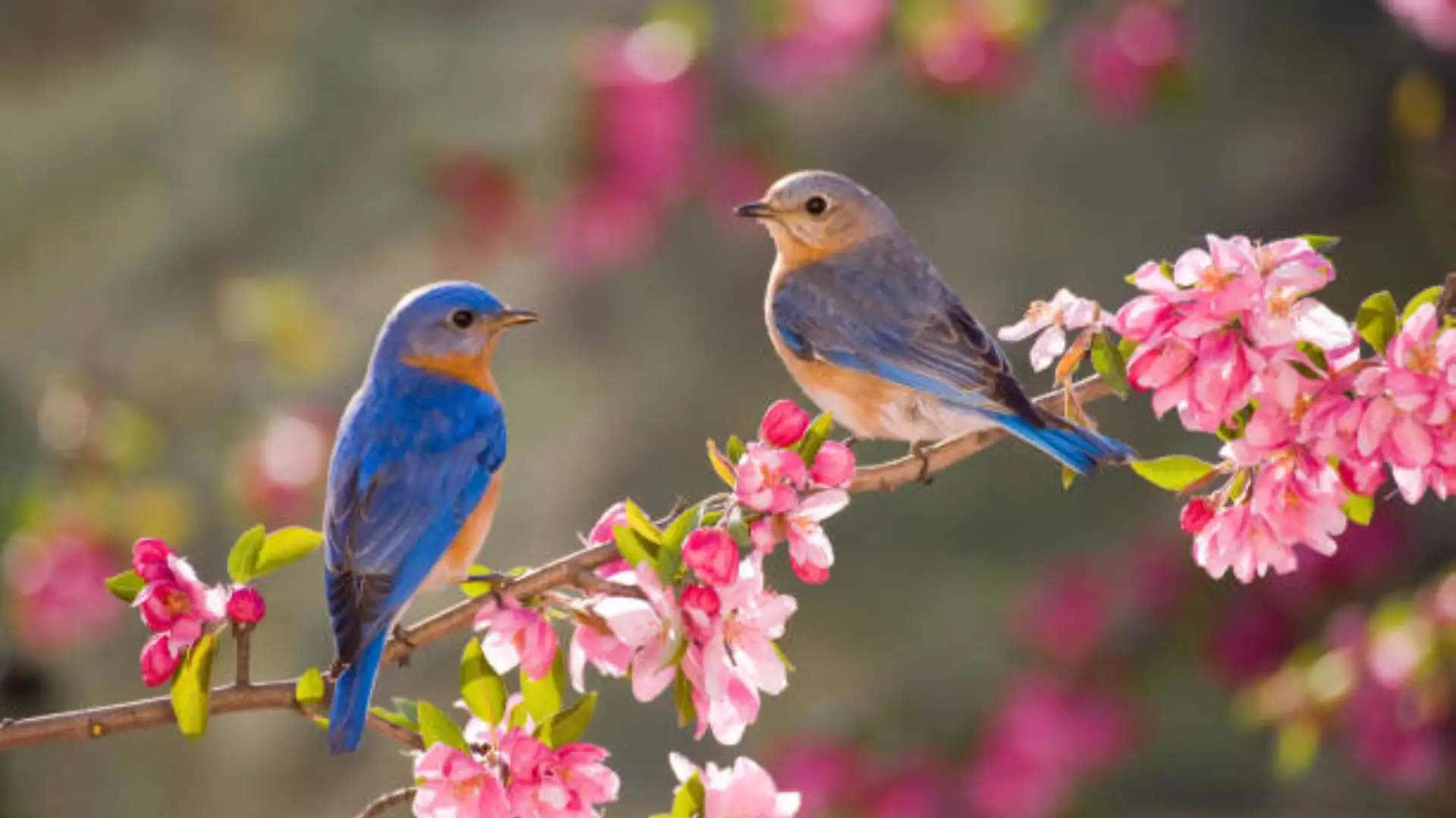 Faith, Prayer, and Love