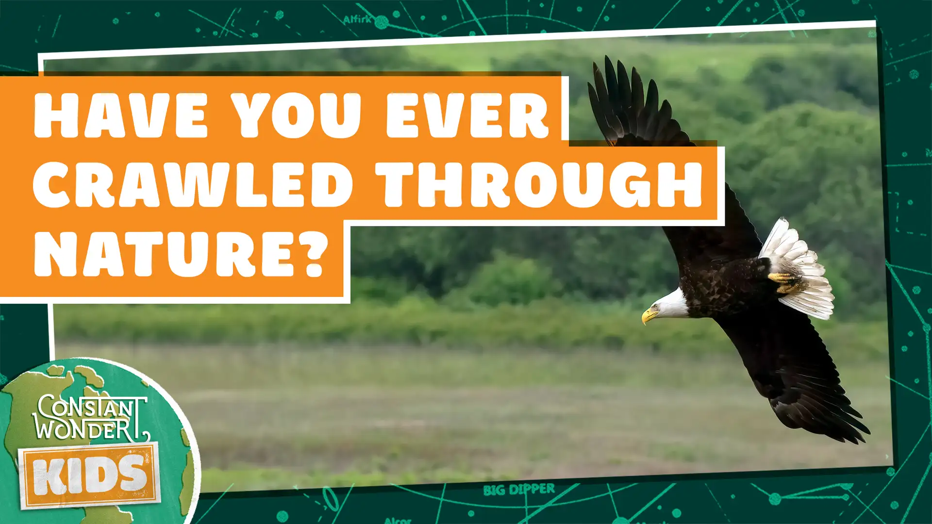 Have You Ever Crawled Through Nature?