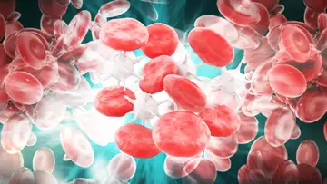 The Immune System: An Elegant Defense