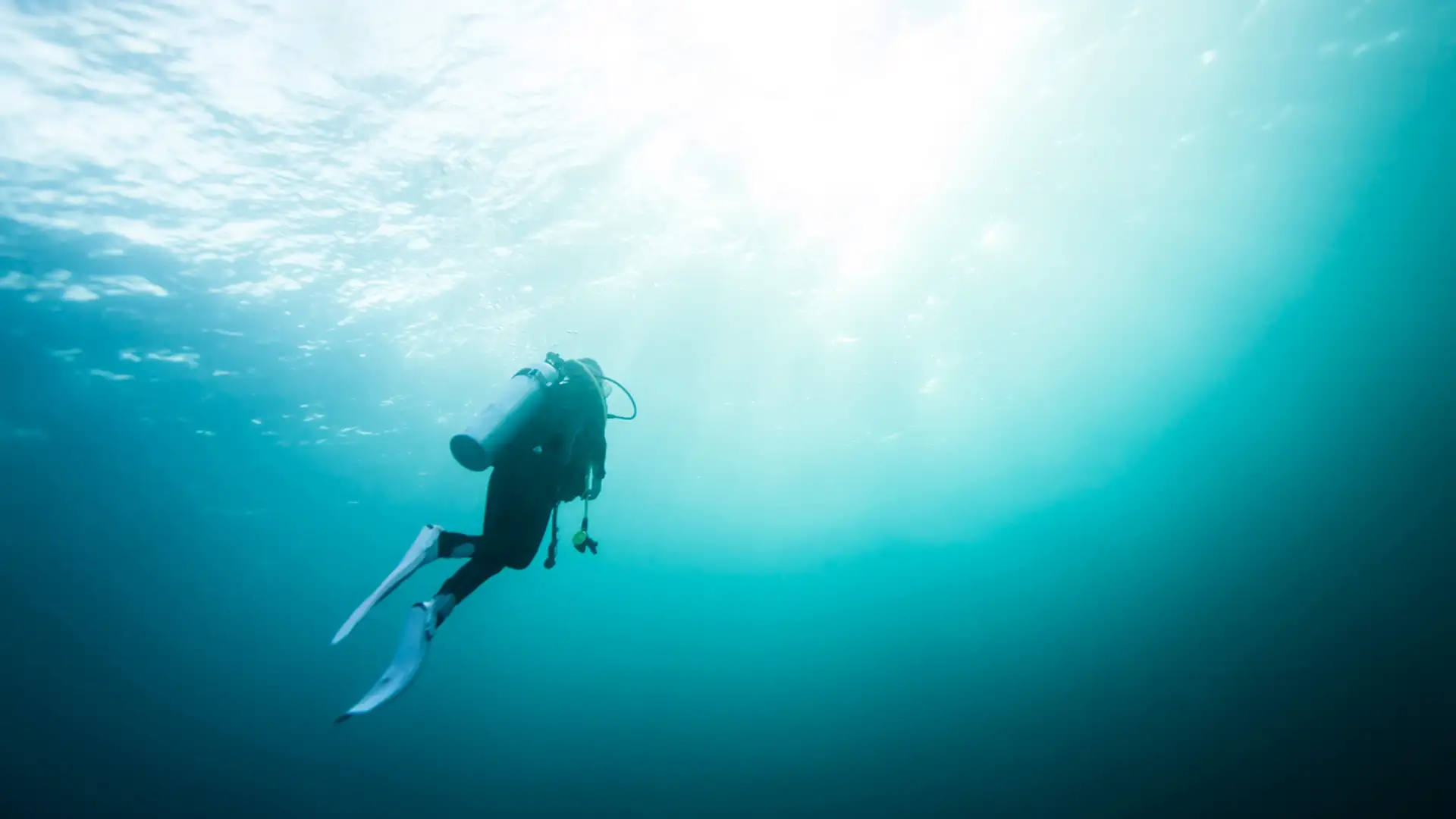 National Park Service Dive Team