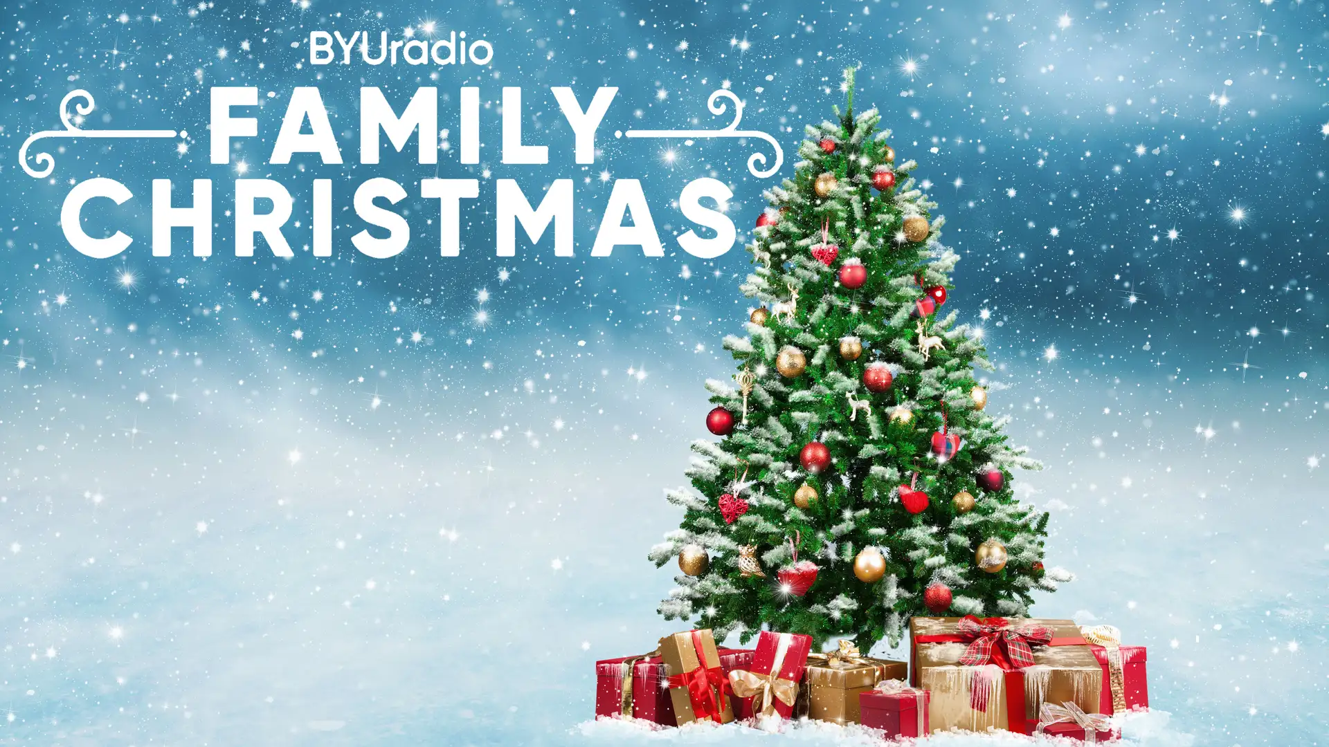 Journey to Find the Perfect Christmas Tree