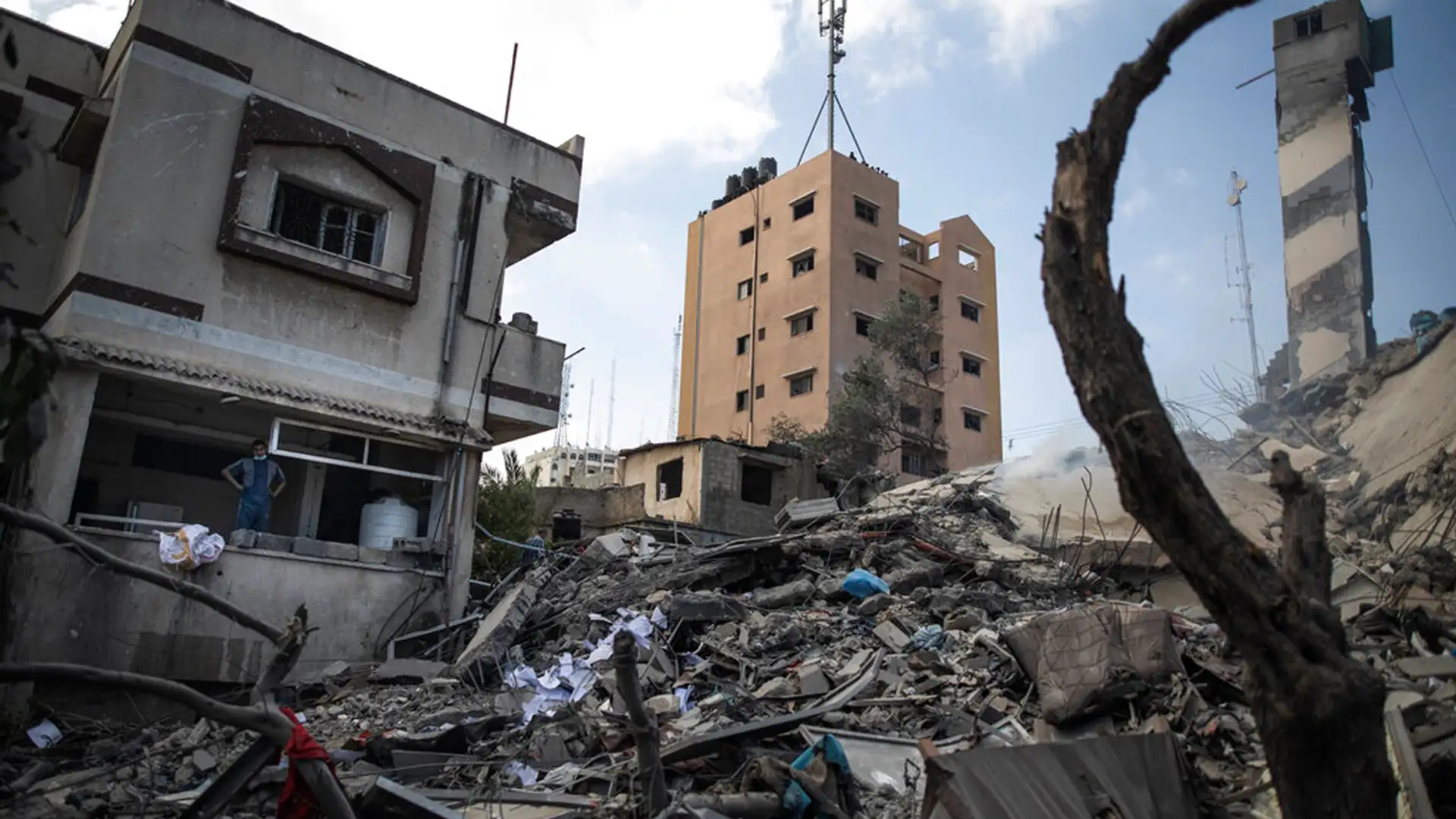 Israel/Palestine Conflict, Humanized Pigs, 142-Year-Old Experiment