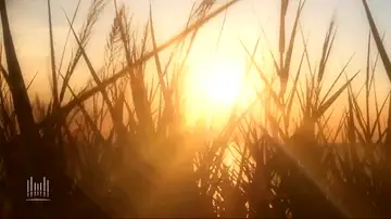 (8-6-23) His Mercy Endureth Forever